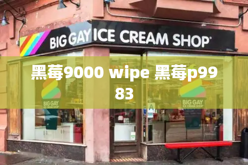 黑莓9000 wipe 黑莓p9983