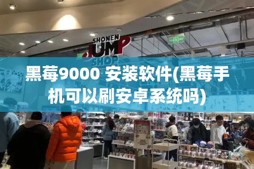黑莓9000 安装软件(黑莓手机可以刷安卓系统吗)-第1张图片-星选测评