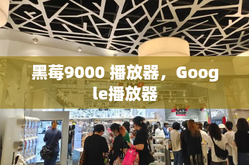 黑莓9000 播放器，Google播放器