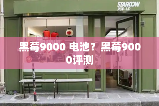 黑莓9000 电池？黑莓9000评测