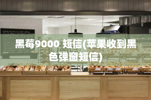 黑莓9000 短信(苹果收到黑色弹窗短信)