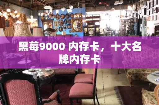 黑莓9000 内存卡，十大名牌内存卡-第1张图片-星选测评