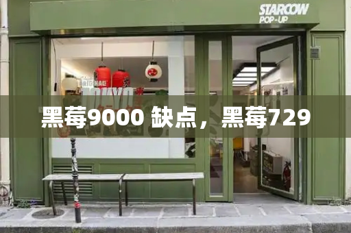 黑莓9000 缺点，黑莓7290-第1张图片-星选测评
