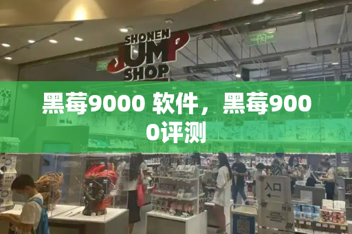 黑莓9000 软件，黑莓9000评测