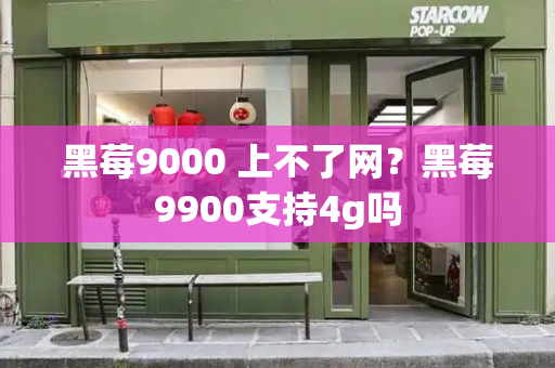 黑莓9000 上不了网？黑莓9900支持4g吗