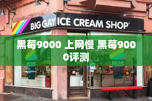 黑莓9000 上网慢 黑莓9000评测-第1张图片-星选测评