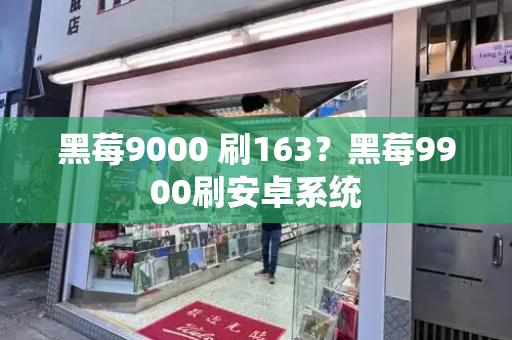 黑莓9000 刷163？黑莓9900刷安卓系统-第1张图片-星选测评