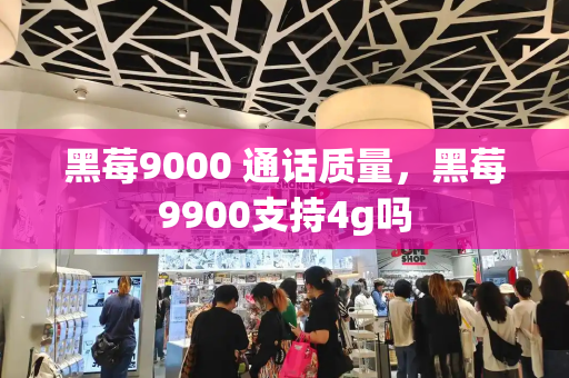 黑莓9000 通话质量，黑莓9900支持4g吗
