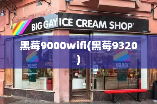 黑莓9000wifi(黑莓9320)-第1张图片-星选测评