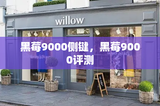 黑莓9000侧键，黑莓9000评测-第1张图片-星选测评