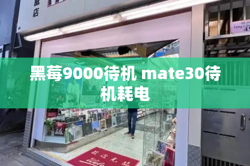 黑莓9000待机 mate30待机耗电-第1张图片-星选测评