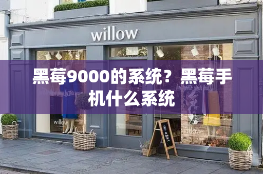 黑莓9000的系统？黑莓手机什么系统-第1张图片-星选测评