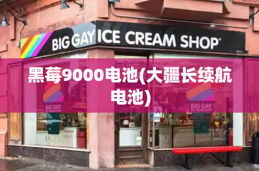 黑莓9000电池(大疆长续航电池)-第1张图片-星选测评