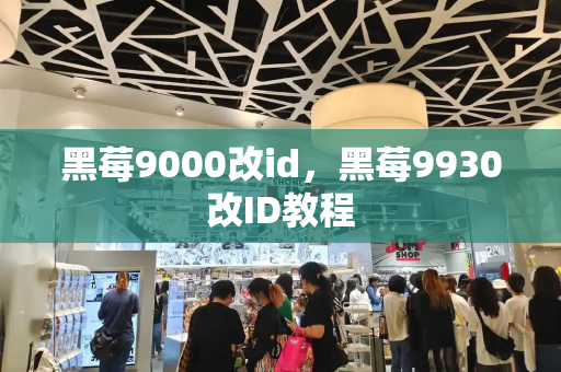黑莓9000改id，黑莓9930改ID教程