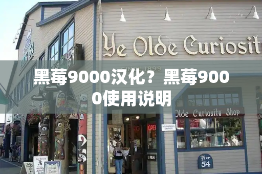 黑莓9000汉化？黑莓9000使用说明