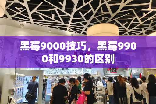 黑莓9000技巧，黑莓9900和9930的区别-第1张图片-星选测评