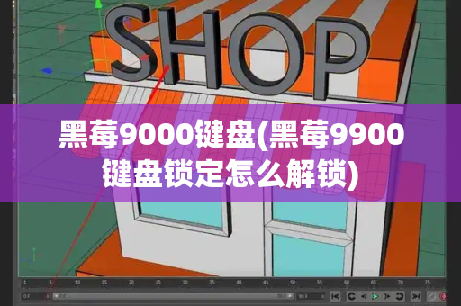 黑莓9000键盘(黑莓9900键盘锁定怎么解锁)-第1张图片-星选测评