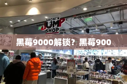 黑莓9000解锁？黑莓9000-第1张图片-星选测评