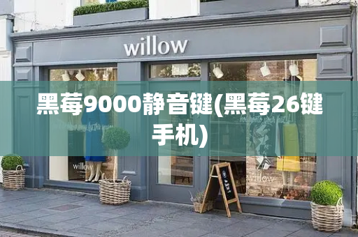 黑莓9000静音键(黑莓26键手机)