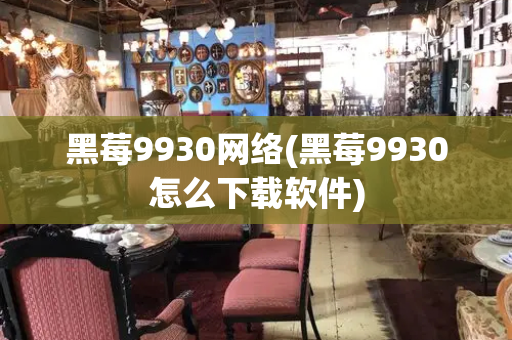 黑莓9930网络(黑莓9930怎么下载软件)