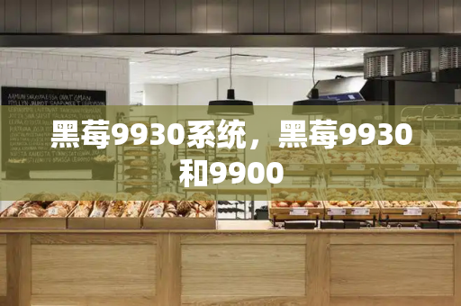 黑莓9930系统，黑莓9930和9900-第1张图片-星选测评
