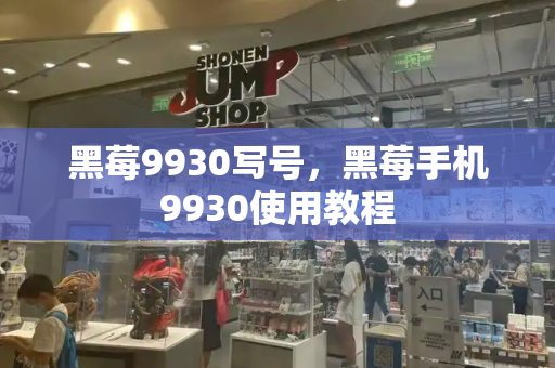 黑莓9930写号，黑莓手机9930使用教程