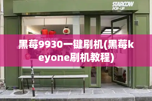 黑莓9930一键刷机(黑莓keyone刷机教程)