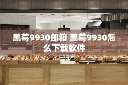 黑莓9930邮箱 黑莓9930怎么下载软件