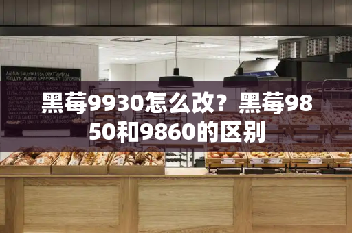 黑莓9930怎么改？黑莓9850和9860的区别-第1张图片-星选测评