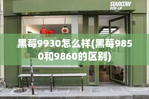黑莓9930怎么样(黑莓9850和9860的区别)