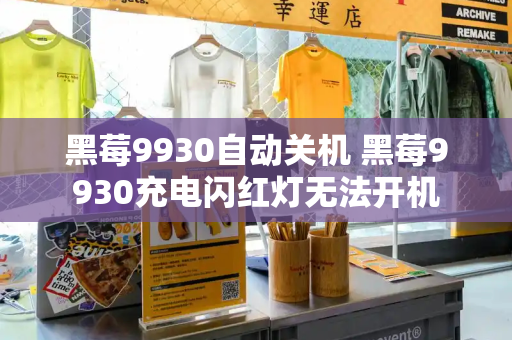 黑莓9930自动关机 黑莓9930充电闪红灯无法开机