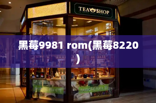 黑莓9981 rom(黑莓8220)