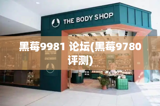 黑莓9981 论坛(黑莓9780评测)
