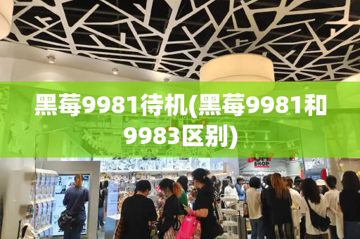 黑莓9981待机(黑莓9981和9983区别)