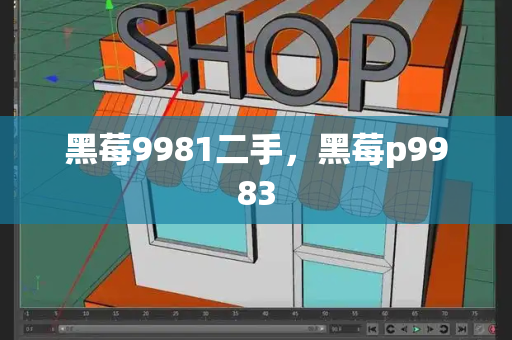 黑莓9981二手，黑莓p9983