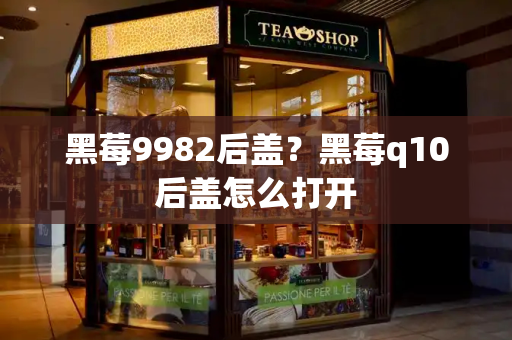 黑莓9982后盖？黑莓q10后盖怎么打开