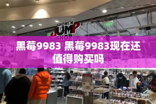 黑莓9983 黑莓9983现在还值得购买吗