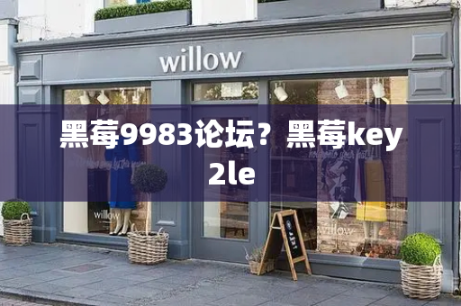 黑莓9983论坛？黑莓key2le-第1张图片-星选测评