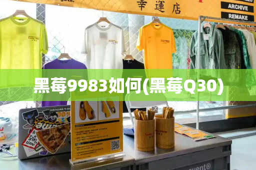黑莓9983如何(黑莓Q30)