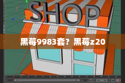 黑莓9983套？黑莓z20