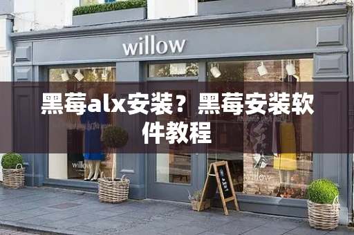 黑莓alx安装？黑莓安装软件教程-第1张图片-星选测评