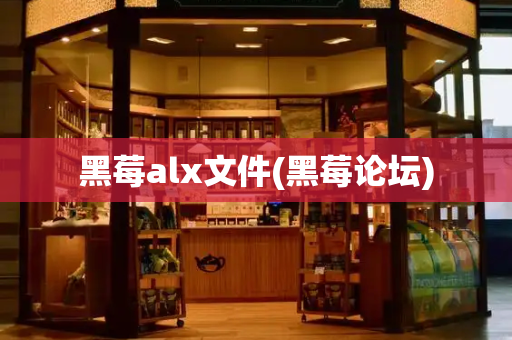 黑莓alx文件(黑莓论坛)
