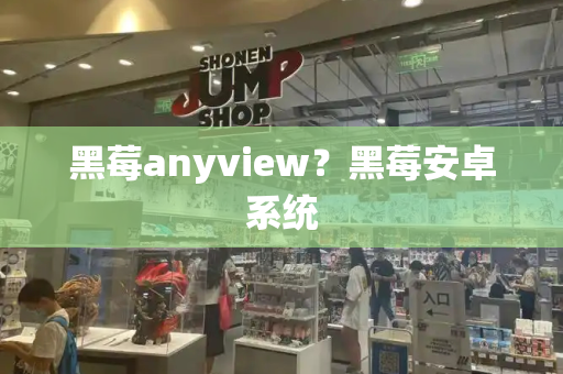黑莓anyview？黑莓安卓系统-第1张图片-星选测评