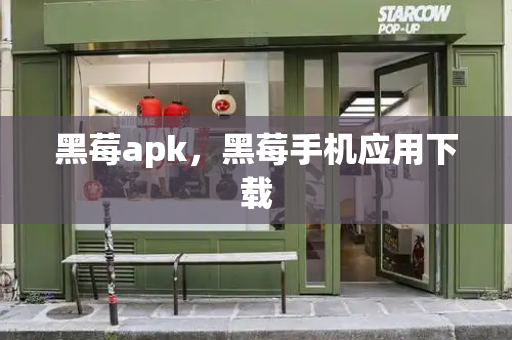 黑莓apk，黑莓手机应用下载-第1张图片-星选测评
