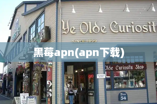 黑莓apn(apn下载)-第1张图片-星选测评