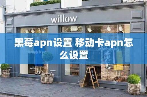 黑莓apn设置 移动卡apn怎么设置