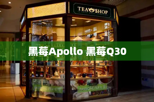 黑莓Apollo 黑莓Q30