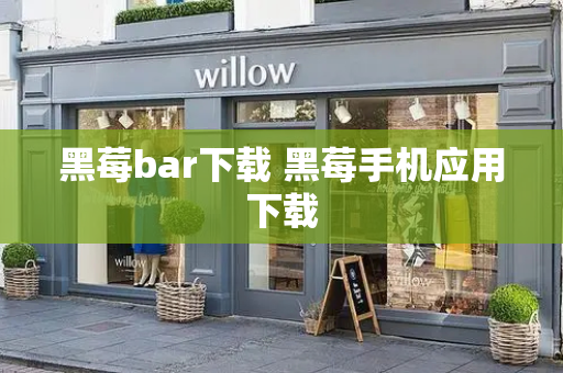 黑莓bar下载 黑莓手机应用下载-第1张图片-星选测评