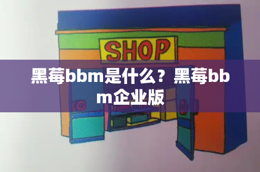 黑莓bbm是什么？黑莓bbm企业版-第1张图片-星选测评