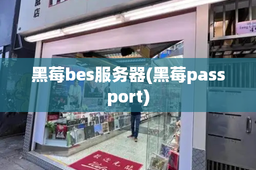 黑莓bes服务器(黑莓passport)